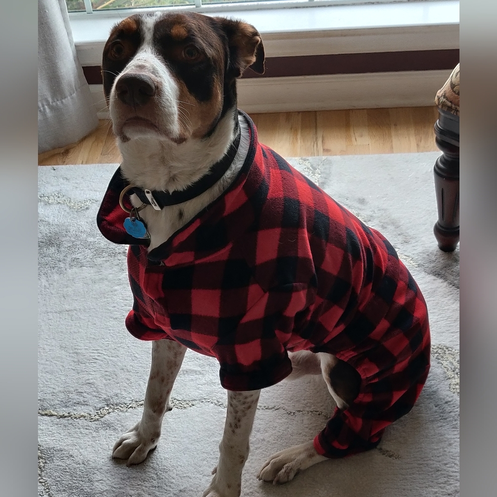 Dog Jammies.